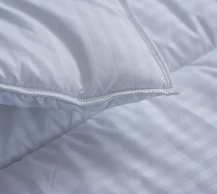 Massive Price Cuts Ashton Eco Duvet