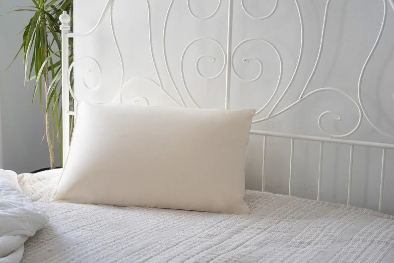 Season-End Deals Buckwheat Hull Pillow