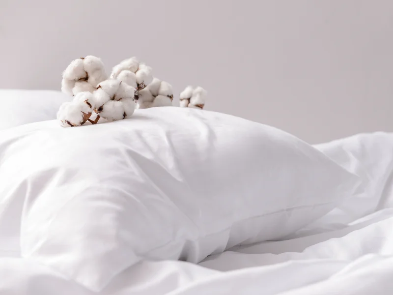 Weekend Wonders Organic Cotton Pillow