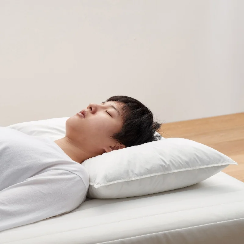 Special Offers Feather Pillow Insert