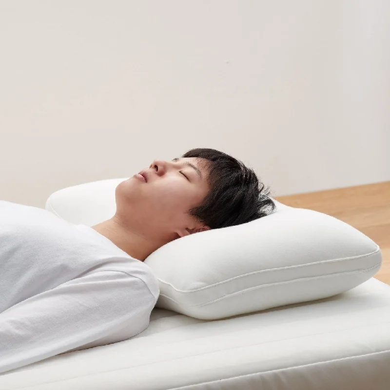 Today’s Flash Sale Head Support Pillow Insert