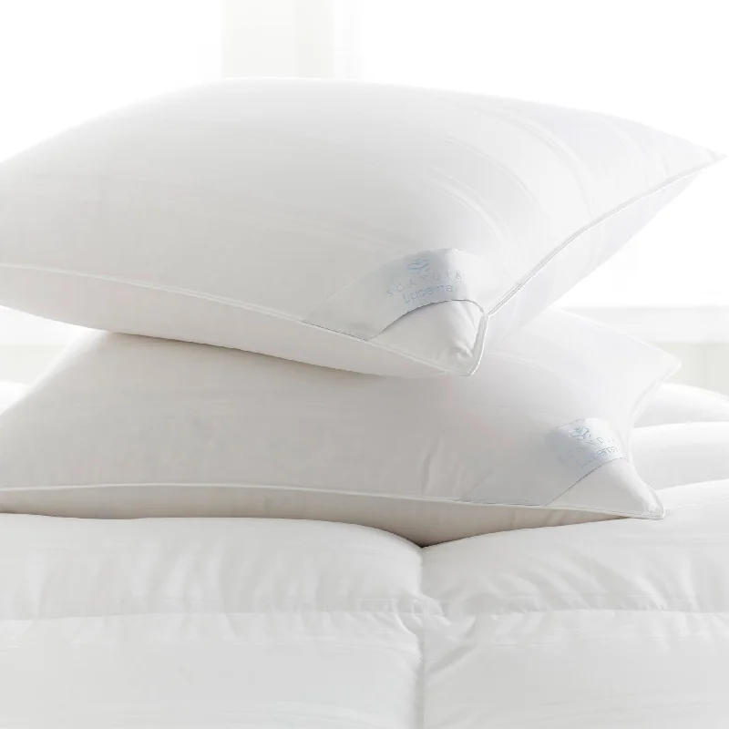 Last Chance Sale Lucerne Down Pillow