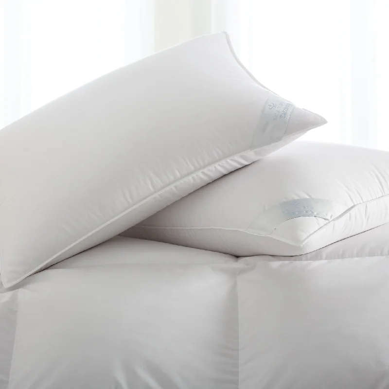 Today’s Special Discount Salzburg Down Pillow