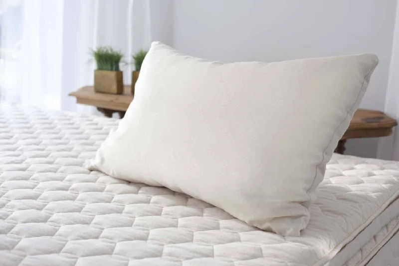 Exclusive Flash Sale Shredded Latex Pillow (Savvy)