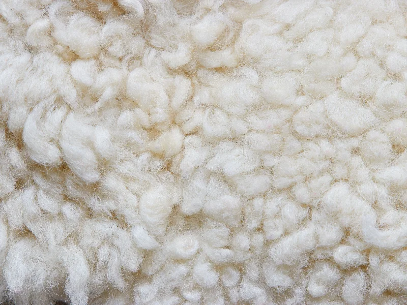 Weekend Steals Wool Pillow Stuffing - 1lb bag
