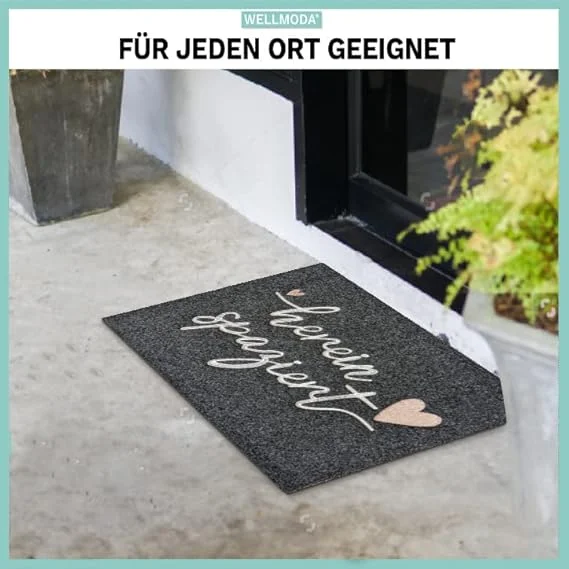 Big Savings Anti-Slip Door Mat(SA2405-31A)