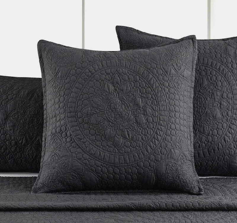 Shop & Save Big Asher European Pillowcase Grey