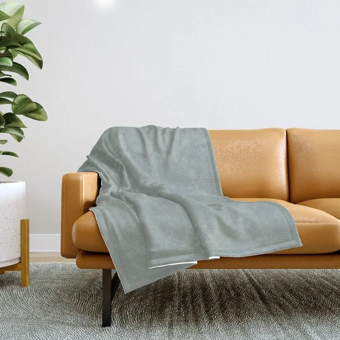 Unmissable Deals Allaying Grey Blue Green Solid Color Pairs To Sherwin Williams Halcyon Green SW 6213 Throw Blanket Unmissable Deals Allaying Grey Blue Green Solid Color Pairs To Sherwin Williams Halcyon Green SW 6213 Throw Blanket