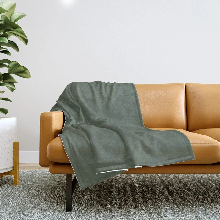 Weekend Mega Sale Event Behr Lakeside Pine (Dark Green) PPU11-19 Solid Color Throw Blanket Weekend Mega Sale Event Behr Lakeside Pine (Dark Green) PPU11-19 Solid Color Throw Blanket