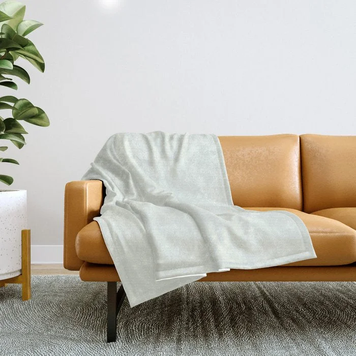 Today’s Flash Sale Best Seller Ultra Pale Mint Green Solid Color Pairs Behr Unwind GR-W05 Throw Blanket Today’s Flash Sale Best Seller Ultra Pale Mint Green Solid Color Pairs Behr Unwind GR-W05 Throw Blanket