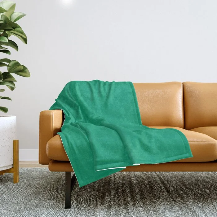 Instant Savings Bold Shamrock Green Solid Color Pairs To Sherwin Williams Jitterbug Jade SW 6987 Throw Blanket Instant Savings Bold Shamrock Green Solid Color Pairs To Sherwin Williams Jitterbug Jade SW 6987 Throw Blanket