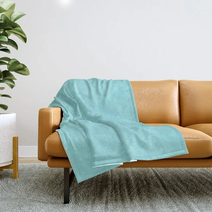 Weekend Price Breaks Bright Pastel Baby Blue Solid Color Pairs HGTV 2021 Color Of The Year Accent Shade Breezy Aqua Throw Blanket Weekend Price Breaks Bright Pastel Baby Blue Solid Color Pairs HGTV 2021 Color Of The Year Accent Shade Breezy Aqua Throw Blanket