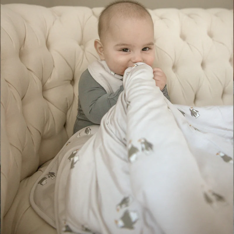 Weekend Offers Galore Cloud Blanket - Penguin